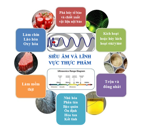 máy rửa hoa quả siêu âm, ozone